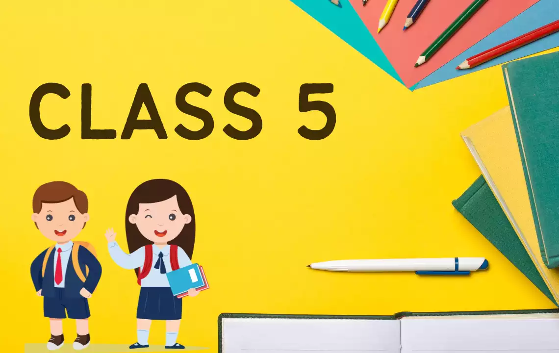 Class 5 (Hindi & English Medium)