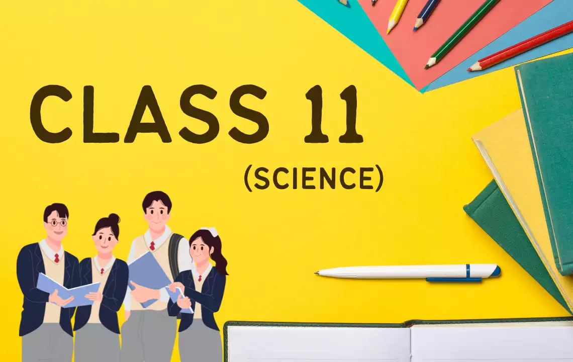 Class 11 (Science Stream)