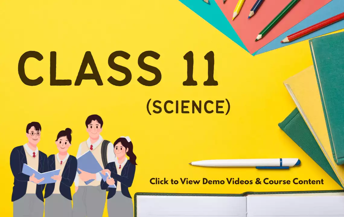 Class 11 (Science Stream)